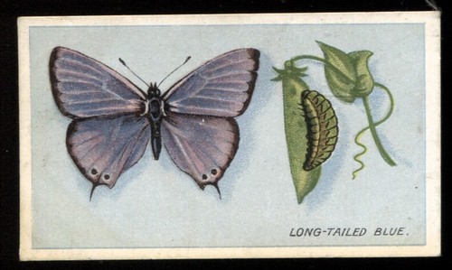 Tobacco card godfrey - tobacco, card,