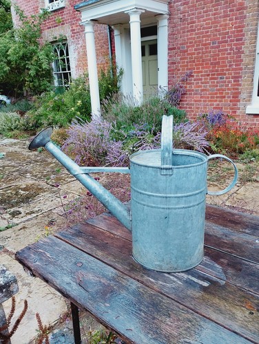 Galvanised metal watering can - watering,