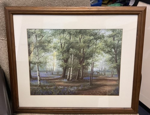 Deer bluebell wood - bluebell, print