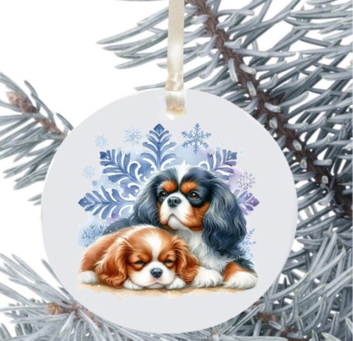 King charles cavalier spaniel - king,