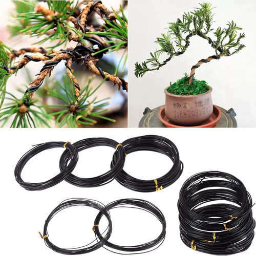 Black aluminum bonsai training - bonsai,