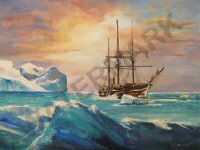 87777 VAN HOVE BELGICA BELGIUM