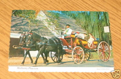 Postcard williamsburg - postcard, va
