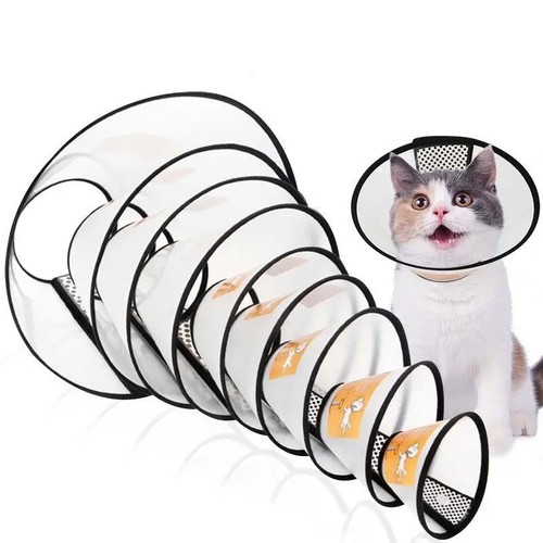 Elizabethan pet protective - elizabethan,