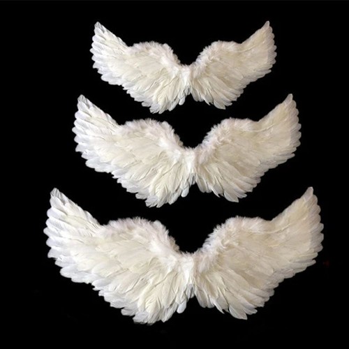 Feather angel wing christmas - feather,