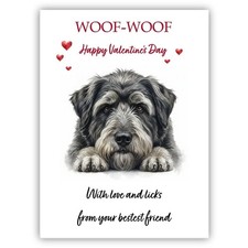 Bouvier des Flandres Dog