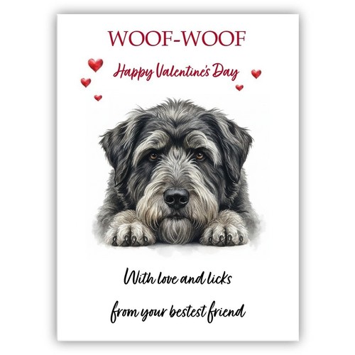 Bouvier des flandres dog - bouvier,