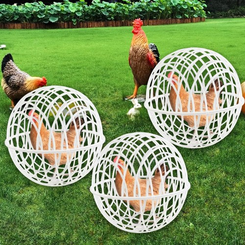 Ball shape chicken - ball, mobile