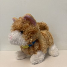 Pitter Patter Pets Pretty