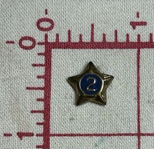 Boy Scouts of America BSA Two 2 Years of Service Anniversary Leadership Star Pin