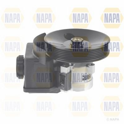 Napa power steering - napa,