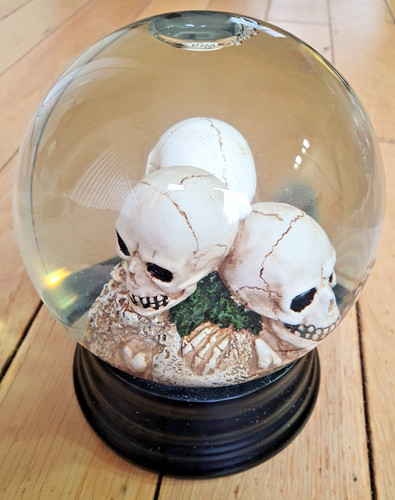 Skull water globe pedestal - skull, w