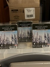 ScentSationals Woodland Spruce