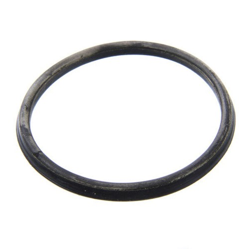 239 690 thermostat - 239.690, seal