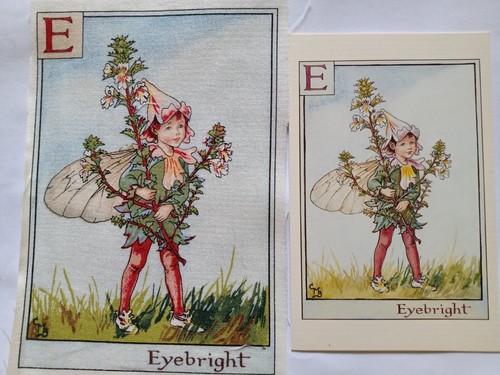 Eyebright alphabet - -,