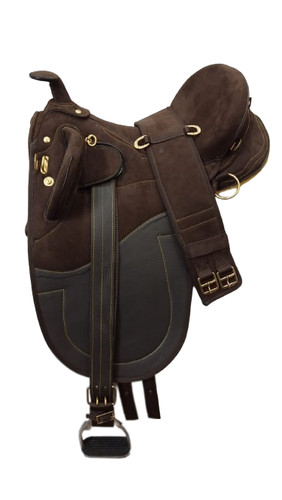 Australian stock horse - australian, tack