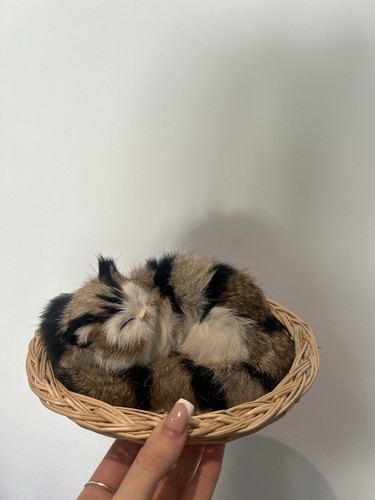 Vintage realistic fur - vintage, kitten