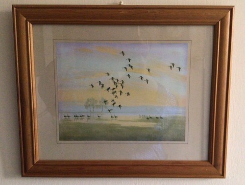 Peter scott whitefronts on - 'whitefronts,