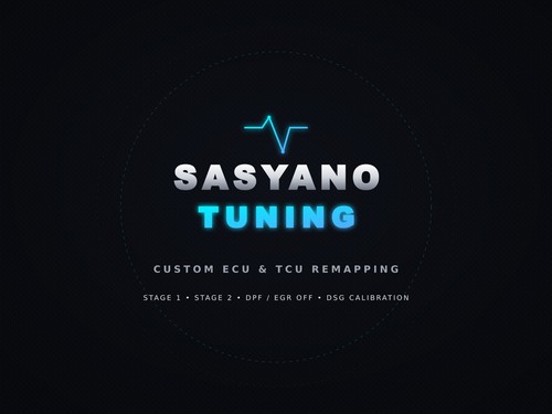 Ecu tuning remap - ecu, service