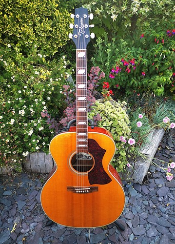 Takamine eta 250 jumbo - takamine,