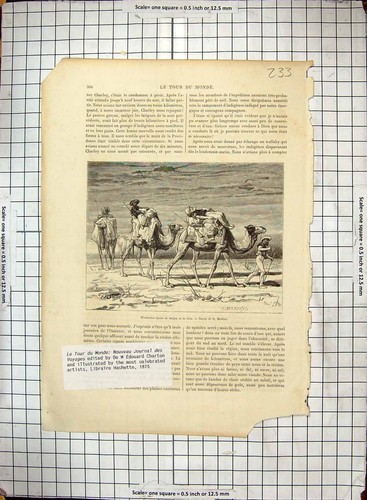 Original old antique print - original,