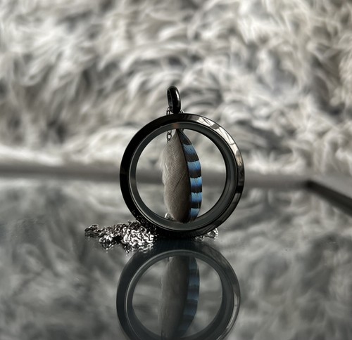🪶Jay feather necklace