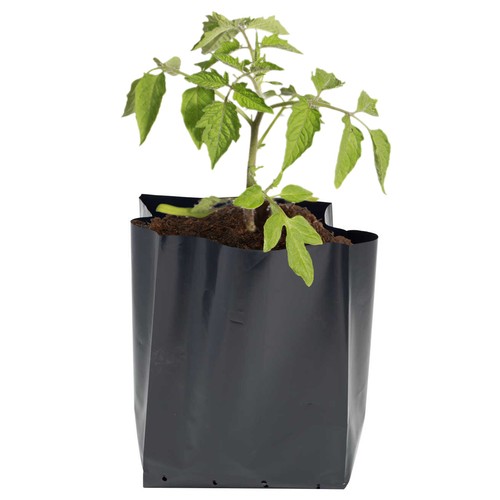 Black recycled polythene - black,