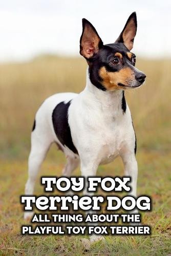Antillon gloria toy fox - toy,