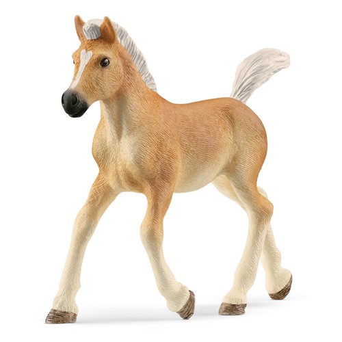 Schleich 13951 haflinger foal - 13951,