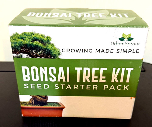 Urban sprout bonsai tree - kit,