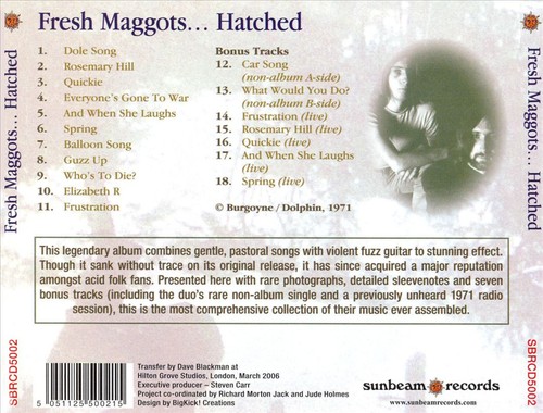 Fresh maggots - maggots,