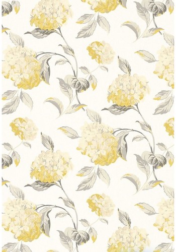 Hydrangea camomile yellow - hydrangea,