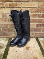 Mountain Horse Winter Vermont