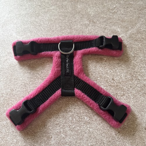 Perfect fit pink dog - fit,