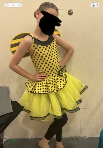 Weissman ladybug canary - weissman,