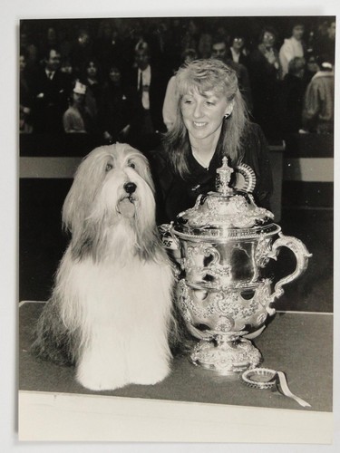 Crufts best show winner - best,