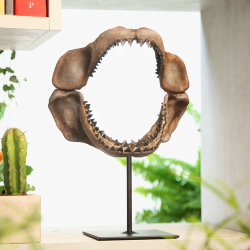 Megalodon shark jaw - megalodon, hand
