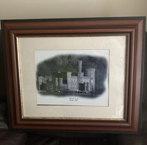 Framed mounted photo of - photo,