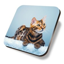 Square MDF Coaster Cute Bengal
