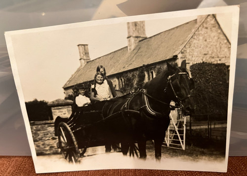 Antique photo children horse - , &