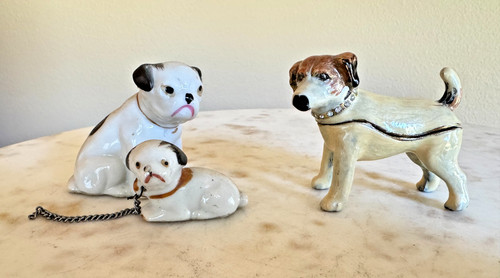 Jack russell terrier - russell, jeweled
