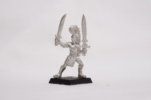 Wood elves wardancer elf - wood,