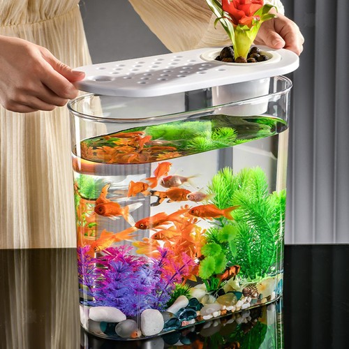 Aquaponic planter aquarium - aquaponic,