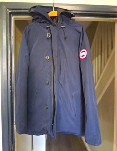 Canada goose arctic program - goose,