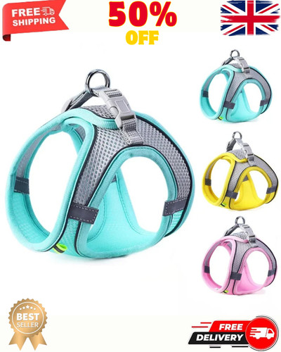 Dog harness and leash set - dog,