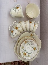 Crown staffordshire daffodil - staffordshire,