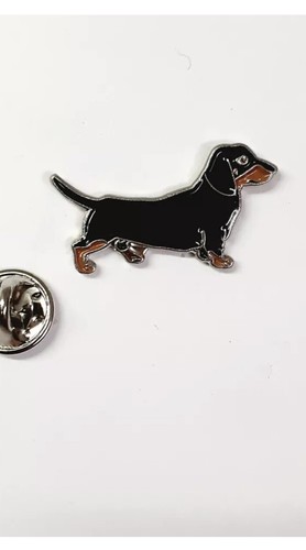 Dachshund sausage dog pet - dachshund, pin
