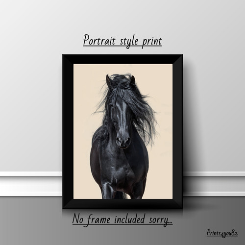 Horse print poster picture - a4,