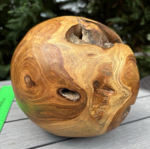 Original hardwood root ball - root,