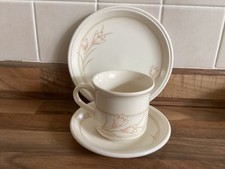 Vintage Biltons Coloroll